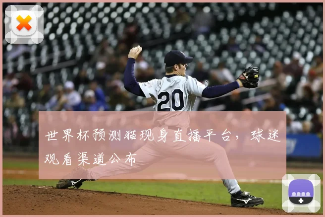 世界杯预测猫现身直播平台,球迷观看渠道公布